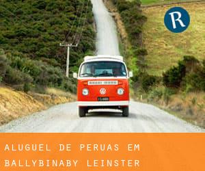 Aluguel de Peruas em Ballybinaby (Leinster)