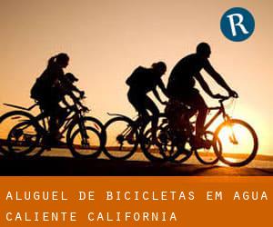 Aluguel de Bicicletas em Agua Caliente (California)