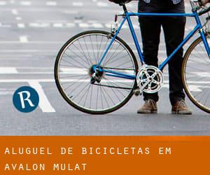 Aluguel de Bicicletas em Avalon Mulat