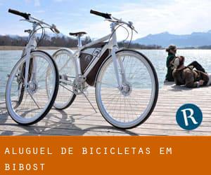 Aluguel de Bicicletas em Bibost