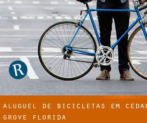 Aluguel de Bicicletas em Cedar Grove (Florida)