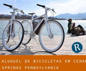 Aluguel de Bicicletas em Cedar Springs (Pennsylvania)