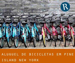 Aluguel de Bicicletas em Pine Island (New York)