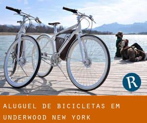 Aluguel de Bicicletas em Underwood (New York)